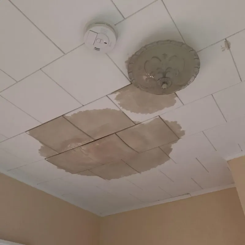 Ceiling Water Damage Repair in Hancock County, MS