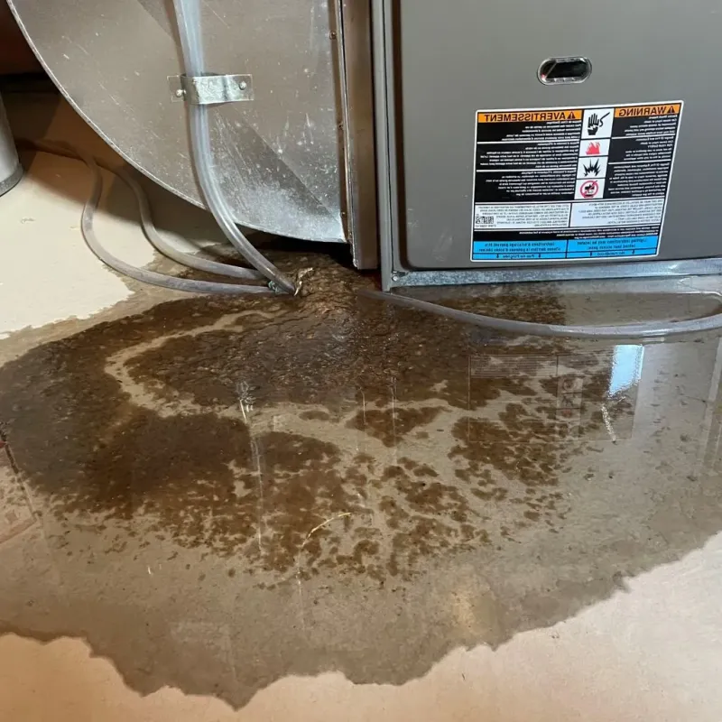 Pipe Burst and Leak Restoration in Hancock County, MS