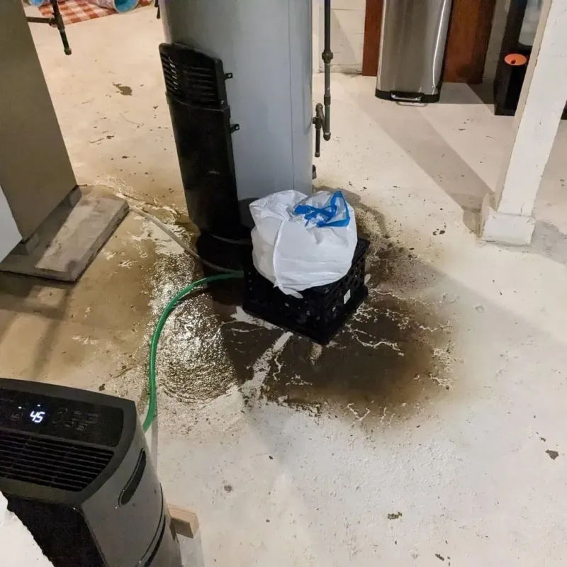 Sewage Backup Cleanup Service in Hancock County, MS